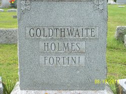 Lillian Gracie <I>Goldthwaite</I> Williams 
