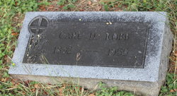 Carl H Robb 