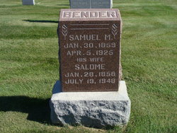 Samuel M Bender 