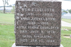 William N. Esselstyn 