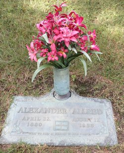 Alexander Allred 