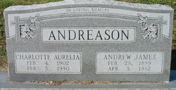 Andrew James Andreason 