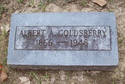 Albert Goldsberry 