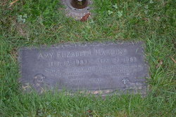 Amy Elizabeth Harding 