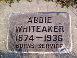 Abbie Whiteaker 