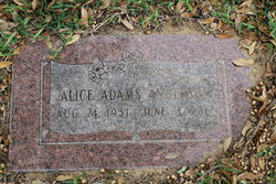 Alice Ann <I>Adams</I> Anderson 