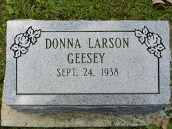 Donna <I>Larson</I> Geesey 
