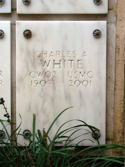 Charles A White 