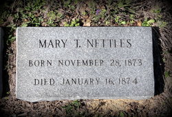 Mary T Nettles 
