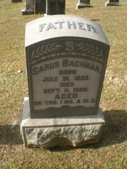 Sarus Bachman 