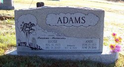 Andy Richard Adams 