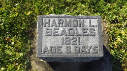 Harmon Leroy Beadles 