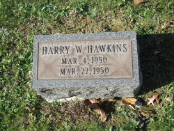 Harry William Hawkins 