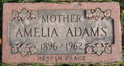 Amelia Adams 