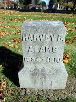 Harvey Adams 