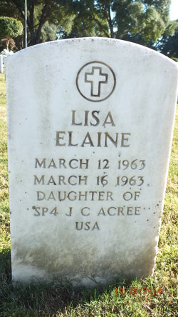 Lisa Elaine Acree 