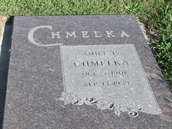 Amiel F. Chmelka 