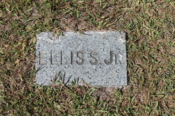 Ellis S Bumpus Jr.