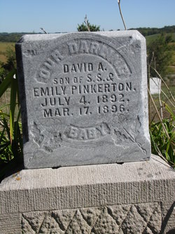 David A Pinkerton 