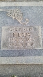 Annie Alice <I>Ellison</I> Rich 