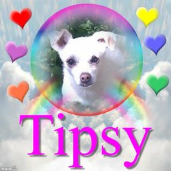 Tipsy “BabyGirl” 