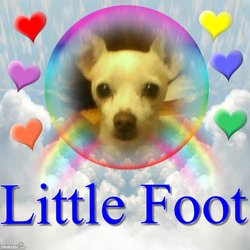 Little Foot “Doogie” 
