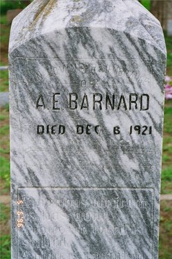 Alfred Eldridge Barnard 