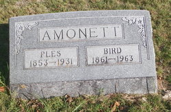 Eliza Ann “Bird” <I>Stone</I> Amonett 