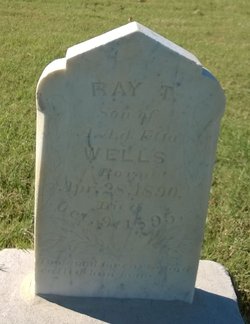 Ray Tate Wells 