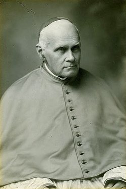 Cardinal Louis Billot 