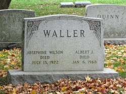 Albert Julius Waller 