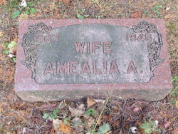 Amealia Ann <I>Skelton</I> Whipple 