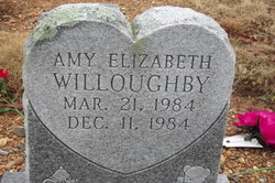 Amy Elizabeth Willoughby 