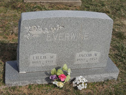 Lillie M <I>Miller</I> Everwine 