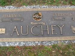 Harry Sterner Auchey 