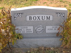 Lloyd Boxum 