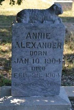 Annie Alexander 