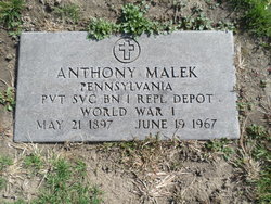 Anthony Malek 