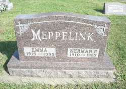 Herman Paul Meppelink 
