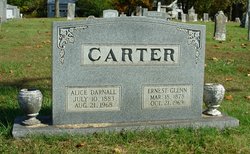 Susan Alice <I>Darnall</I> Carter 