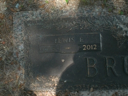 Lewis Eugene Bruton 