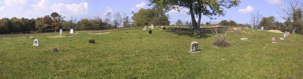 Reed Graveyard