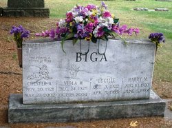 Viola Mary “Vi” <I>Hoffman</I> Biga 