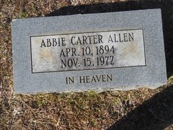 Abbie <I>Carter</I> Allen 