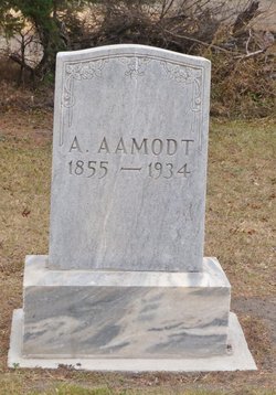 A Aamodt 