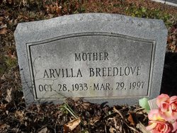 Arvilla Ann Breedlove 