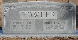Bright Steel Fowler 