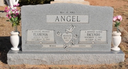 Flaminia “Minnie” <I>Garcia</I> Angel 