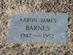 Aaron James Barnes 