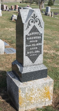 Albert E Cadwell 
